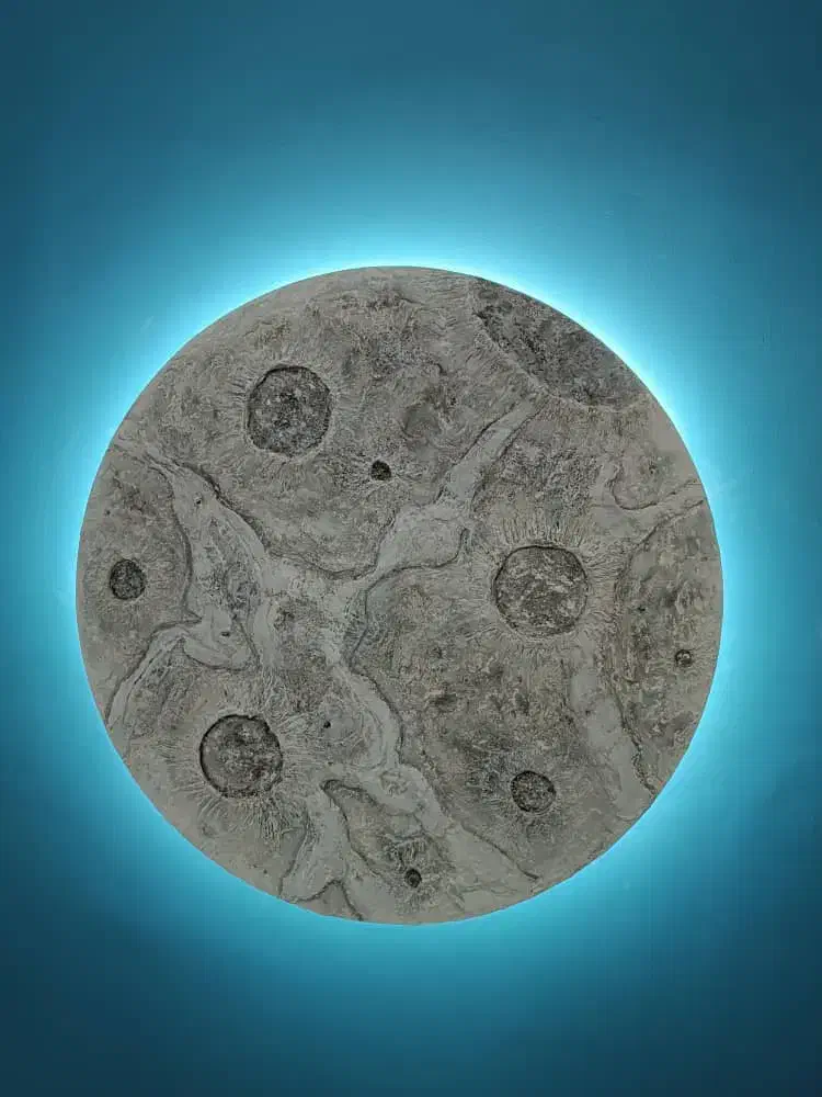 نقاشی ساختمان چکی و اقساط|خدمات پیشه و مهارت|سبزوار, همت|دیوار