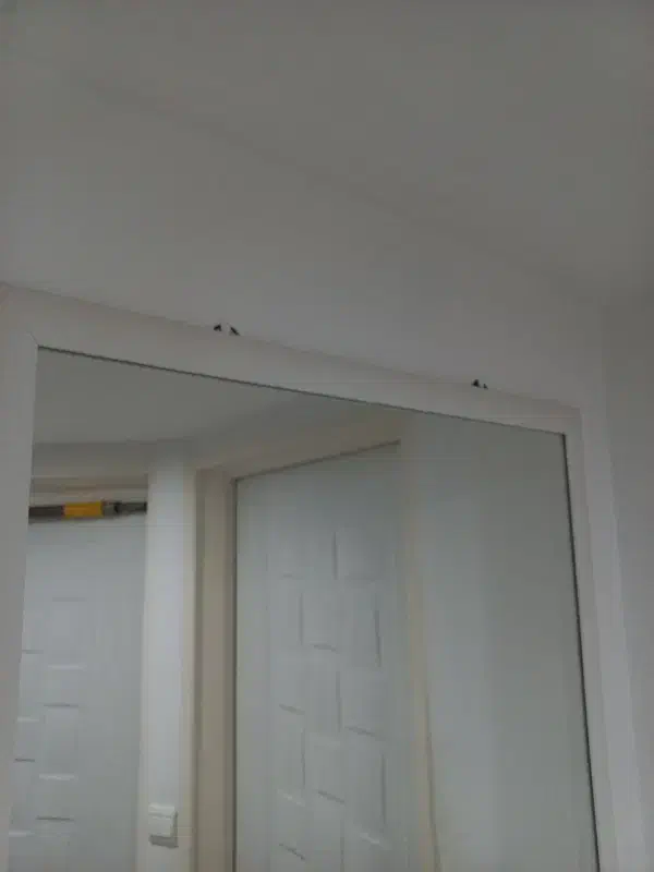 آینه|آینه|بندر انزلی, امامزاده|دیوار