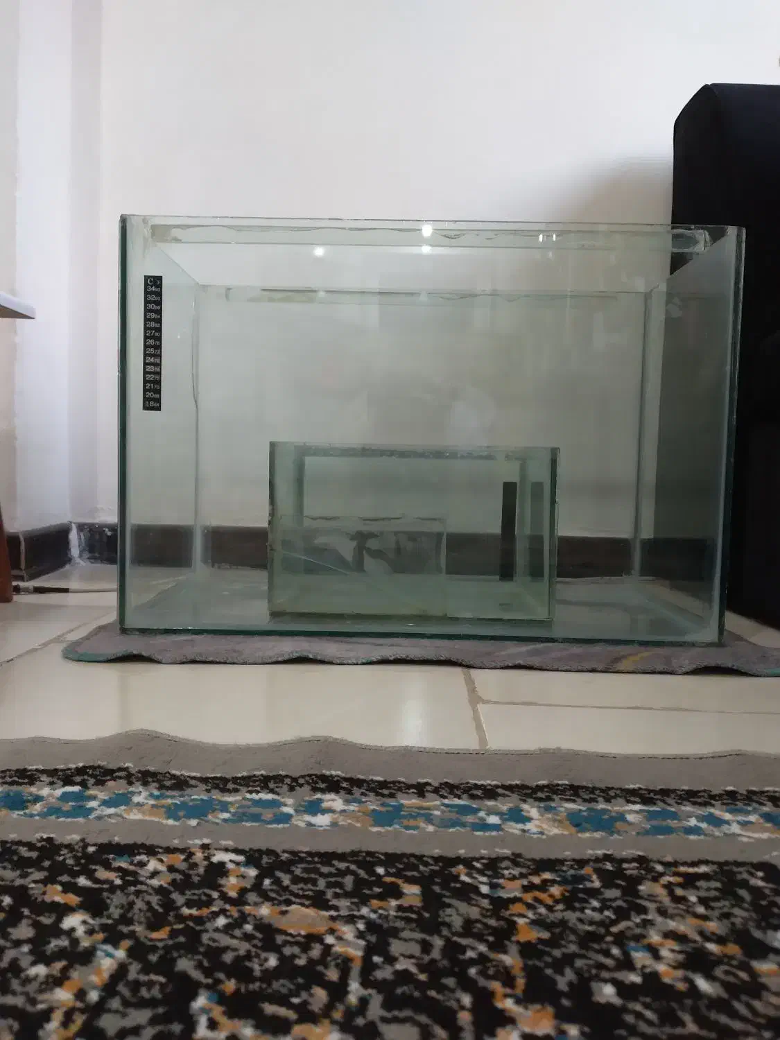 آکواریوم شیشه ۱۰ میل|ماهی|فولادشهر, مسکن مهر فولادشهر|دیوار