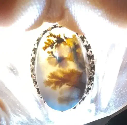 انگشتر. (شجر)|جواهرات|یزد, |دیوار