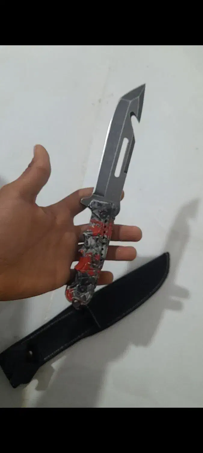 کبوتر معاوضه|کلکسیون و سرگرمی|گنبد کاووس, |دیوار