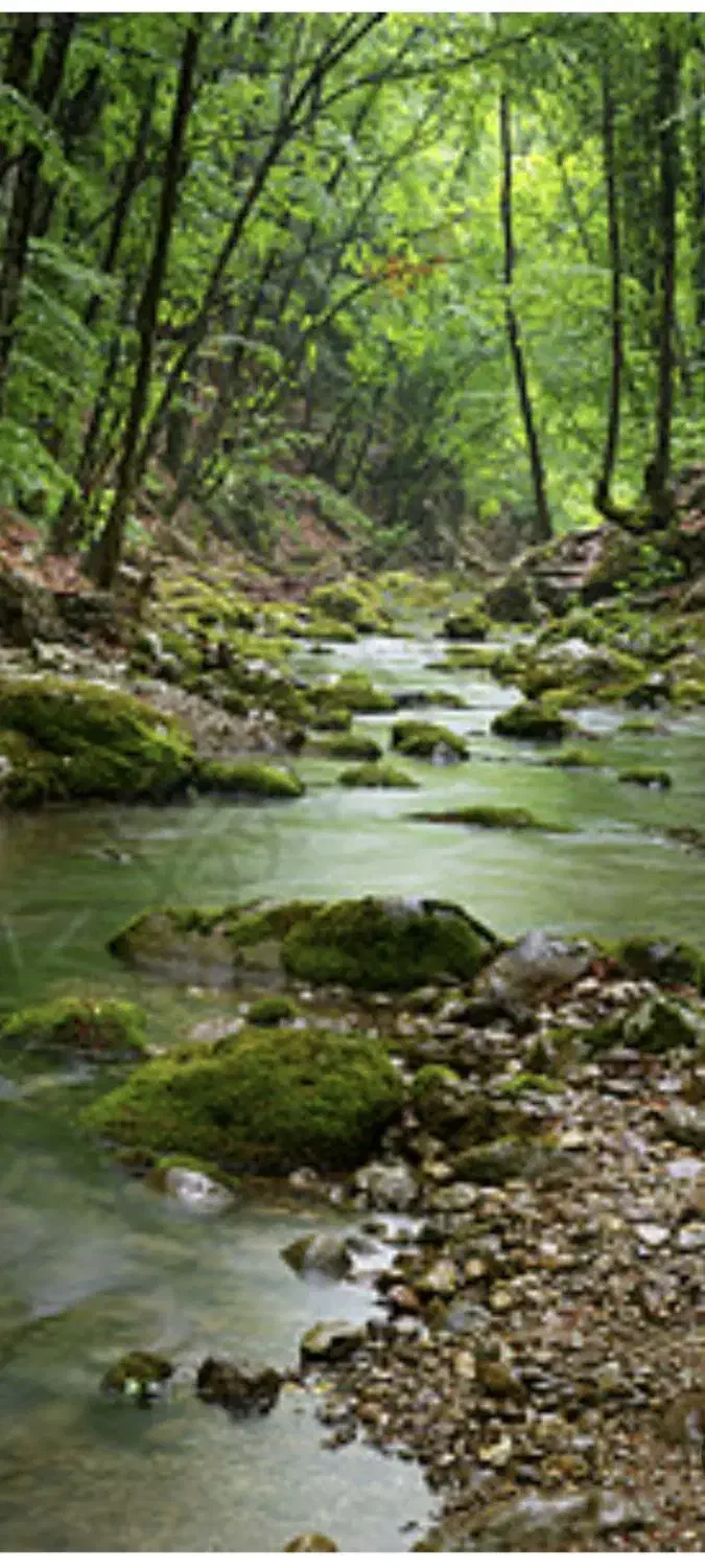 باغ کن ۳۵۰۶متر کنار رودخانه|فروش زمین و ملک کلنگی|کن, |دیوار