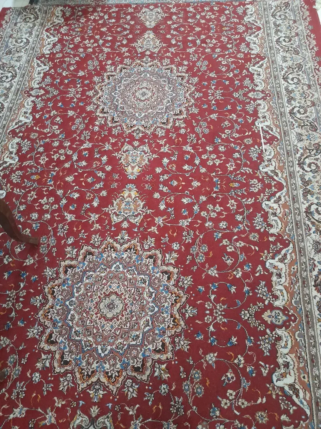 قالی|فرش|مشهد, وکیلآباد|دیوار