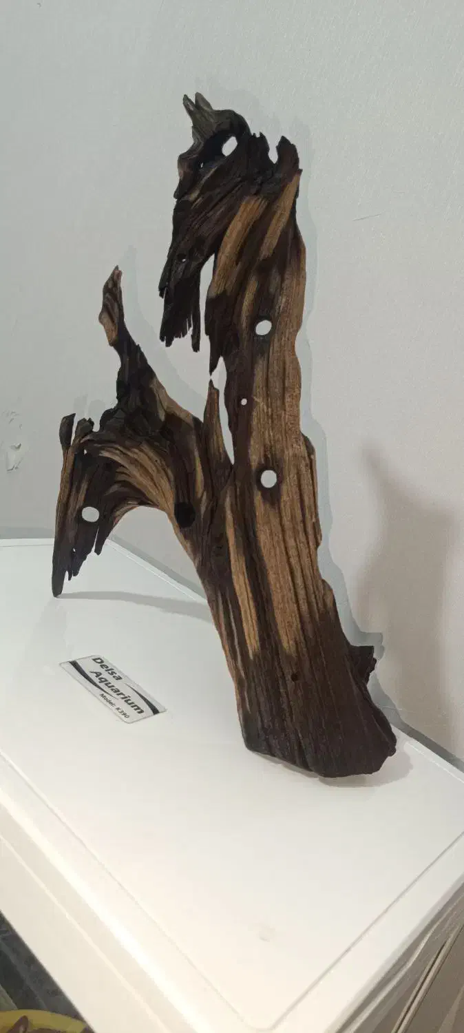 چوب آبنوس|ماهی|کرمانشاه, |دیوار