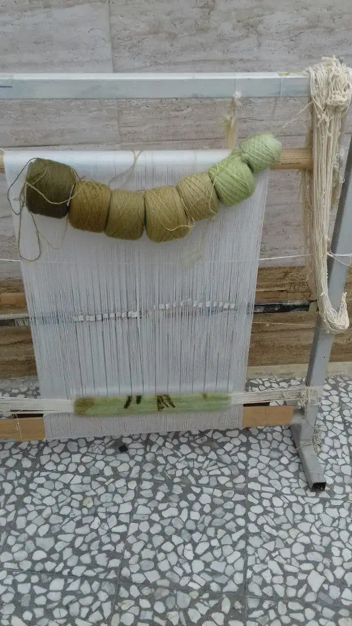 دار قالی|تابلو فرش|قائم‌شهر, |دیوار