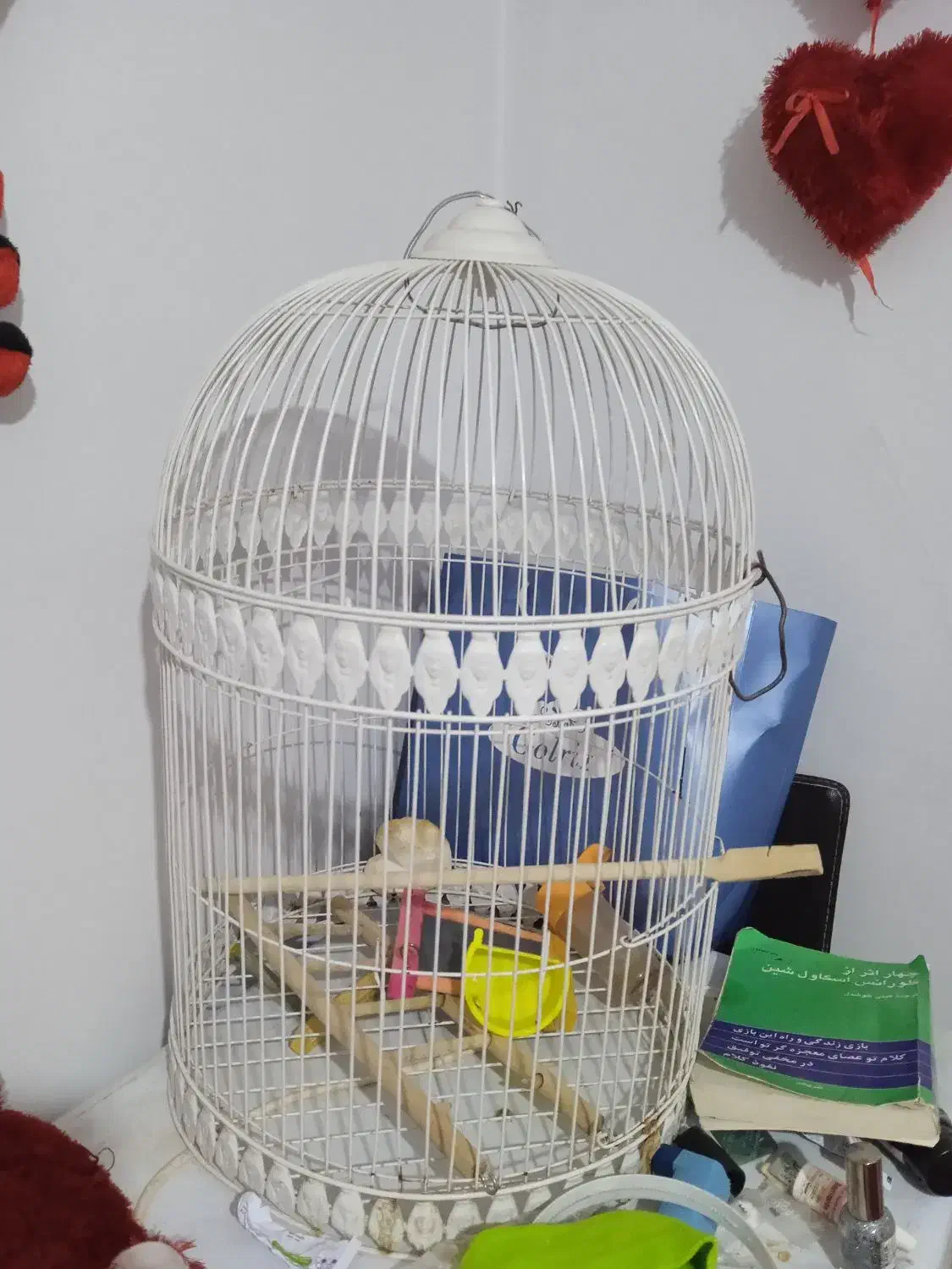 قفس پرنده|لوازم جانبی حیوانات|مشهد, اقبال|دیوار