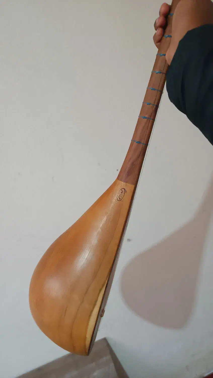 دوتار شمال خراسان|سازهای سنتی|گلبهار, شهر جدید گلبهار|دیوار