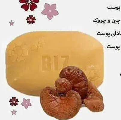 آنلاین شاپ|مواد شوینده و دستمال کاغذی|اندیمشک, |دیوار