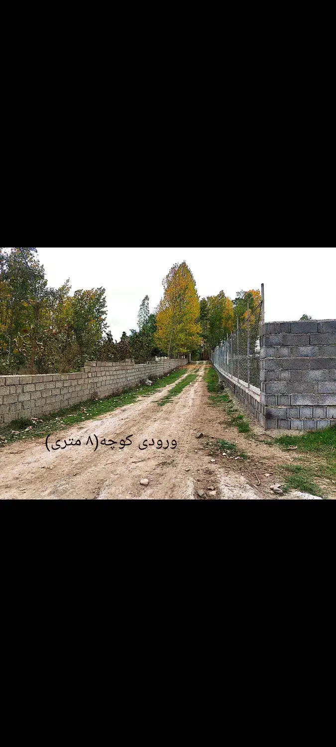 فروش زمین ۲۰۰ متری در کلاردشت|فروش زمین و ملک کلنگی|کلاردشت, |دیوار