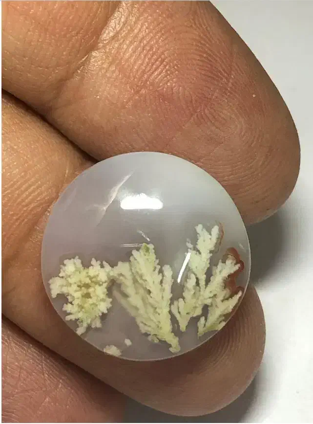 سنگ فیروزه نیشابور و شجر|جواهرات|تهران, سردارجنگل|دیوار