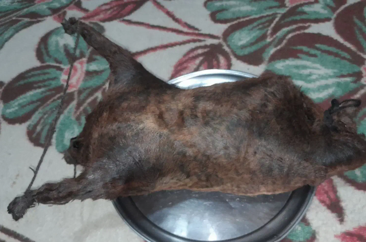 هیزه|خوردنی و آشامیدنی|کوهدشت, |دیوار