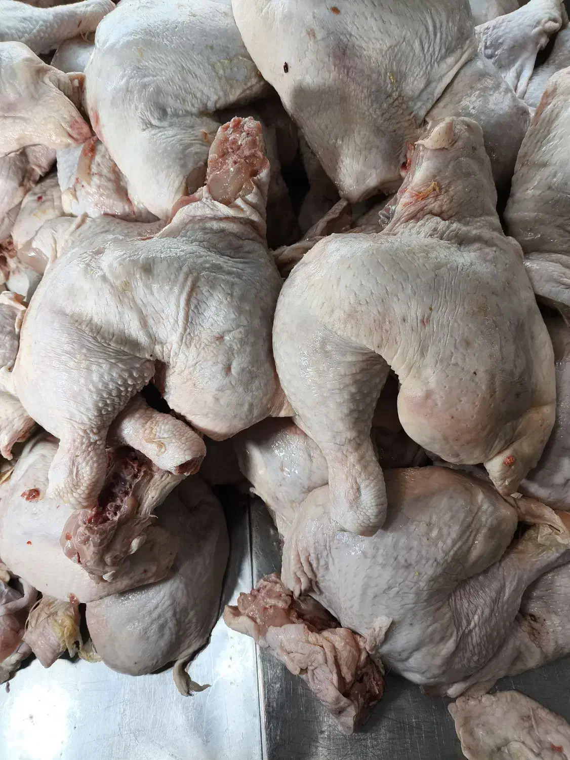 ران مرغ با کمر|خوردنی و آشامیدنی|تهران, شادآباد|دیوار