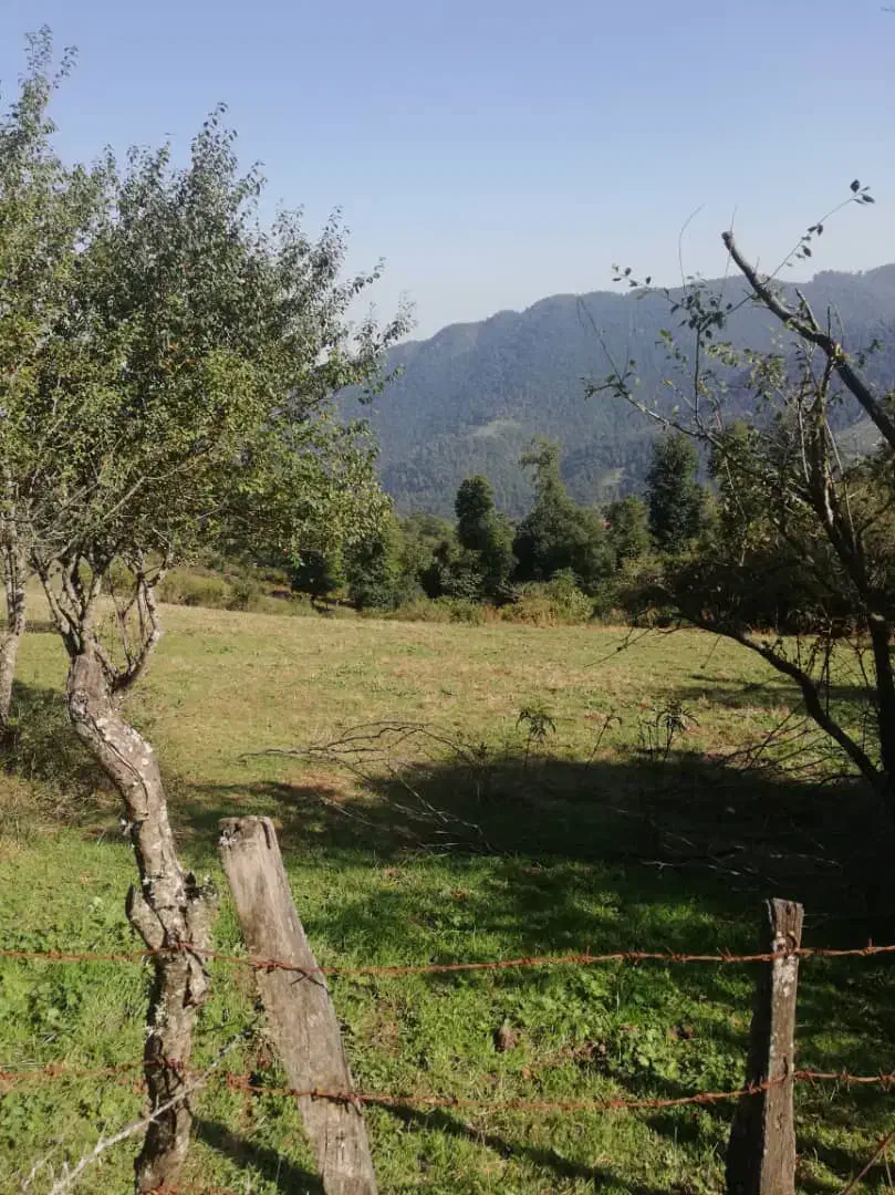 زمین مسکونی ۵۰۰متر|فروش زمین و ملک کلنگی|رشت, بازار|دیوار