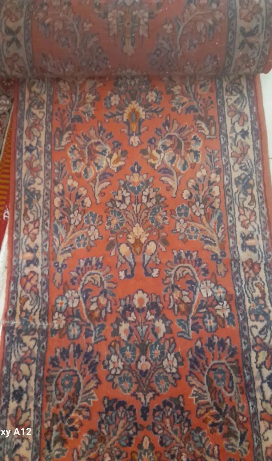 فرش دستباف زرونیم ساروق|فرش|پرند, فاز ۶|دیوار