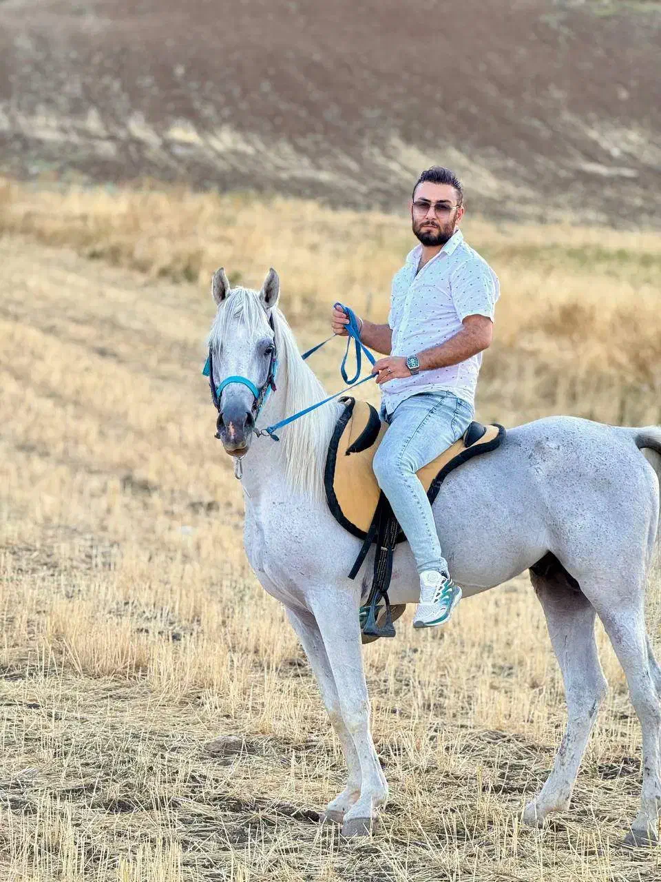 فروش اسب|اسب و تجهیزات اسبسواری|پیرانشهر, |دیوار