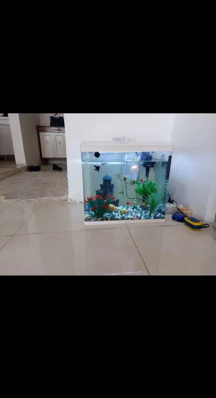 اجاره روزانه آپارتمان مبله|اجارهٔ کوتاهمدت آپارتمان و سوئیت|ایلام, |دیوار