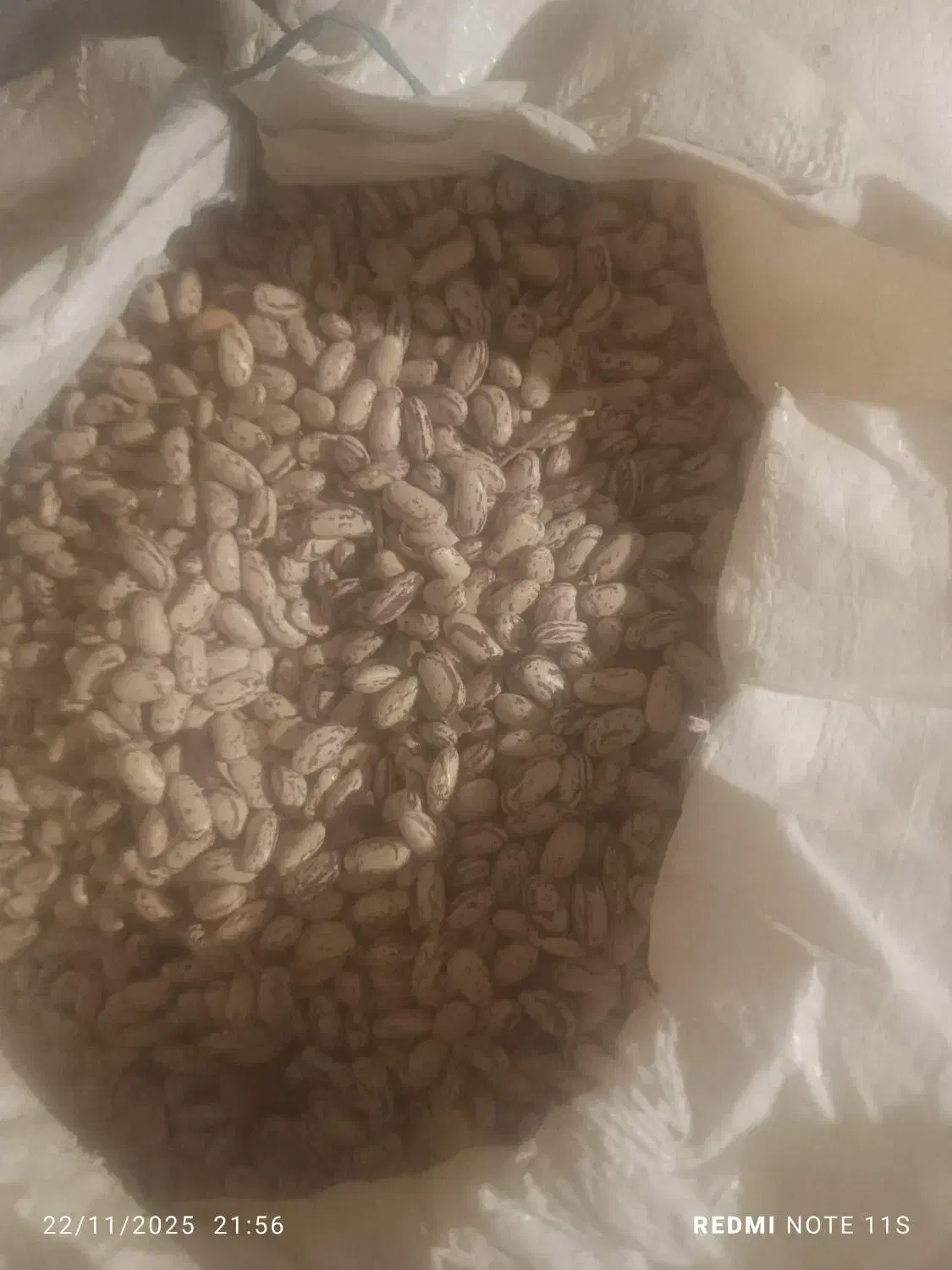 فروش|حراج|بلبان آباد, |دیوار