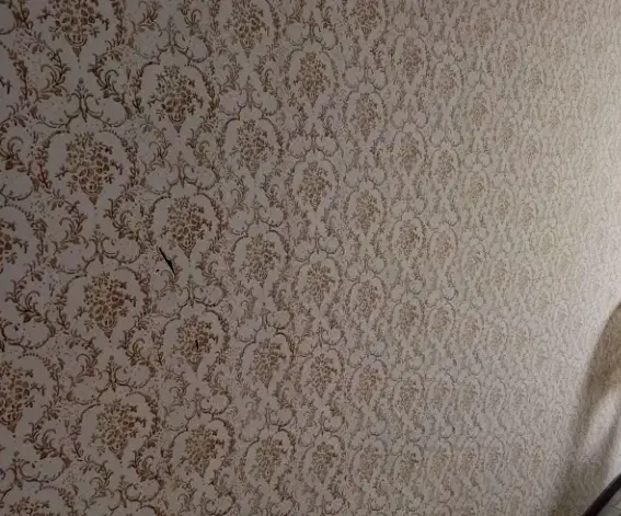 نقاشی ساختمان|خدمات پیشه و مهارت|سبزوار, شهرک ابوذر|دیوار