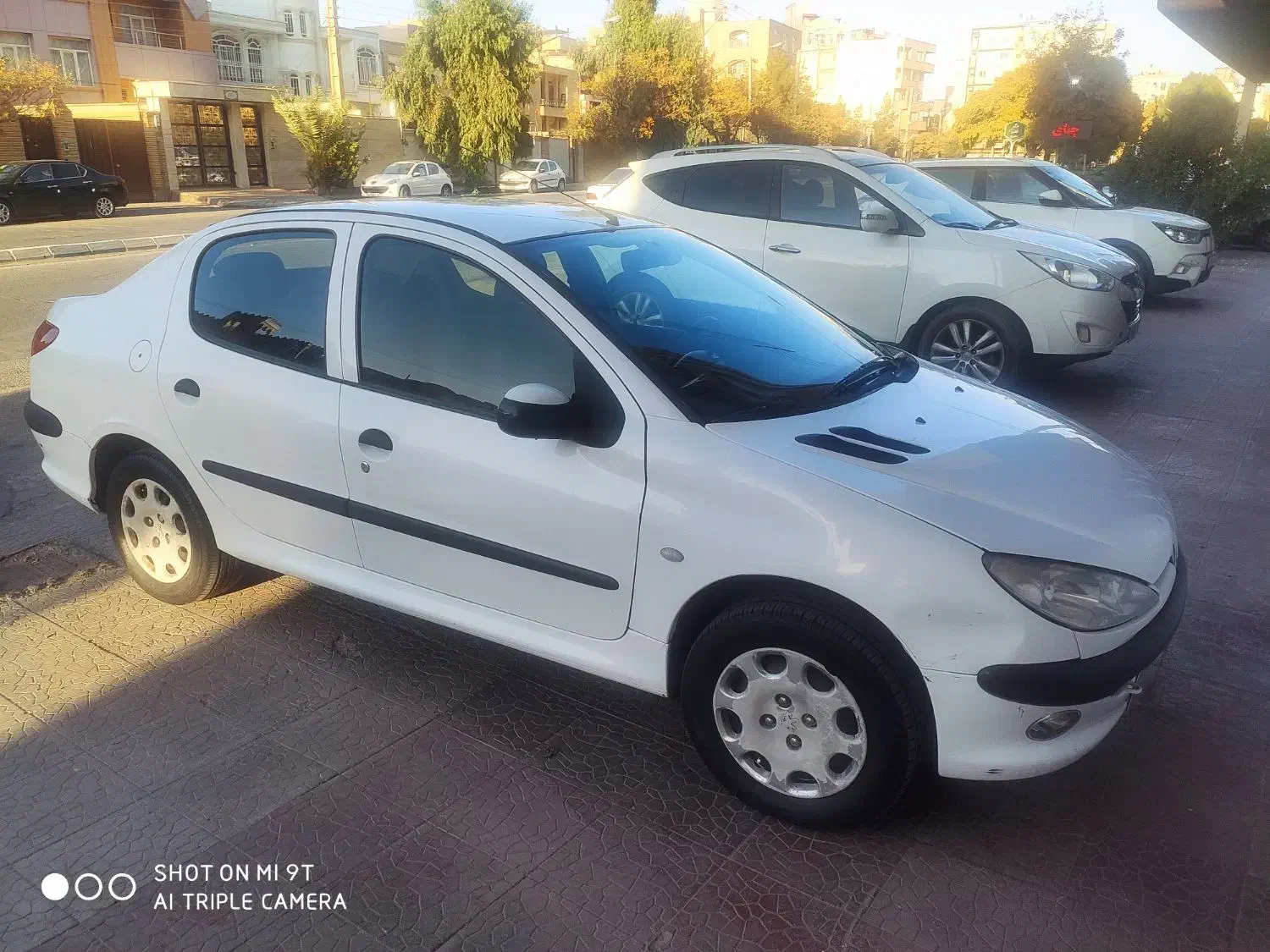 206 SD مدل 94|خودرو سواری و وانت|کرمان, |دیوار