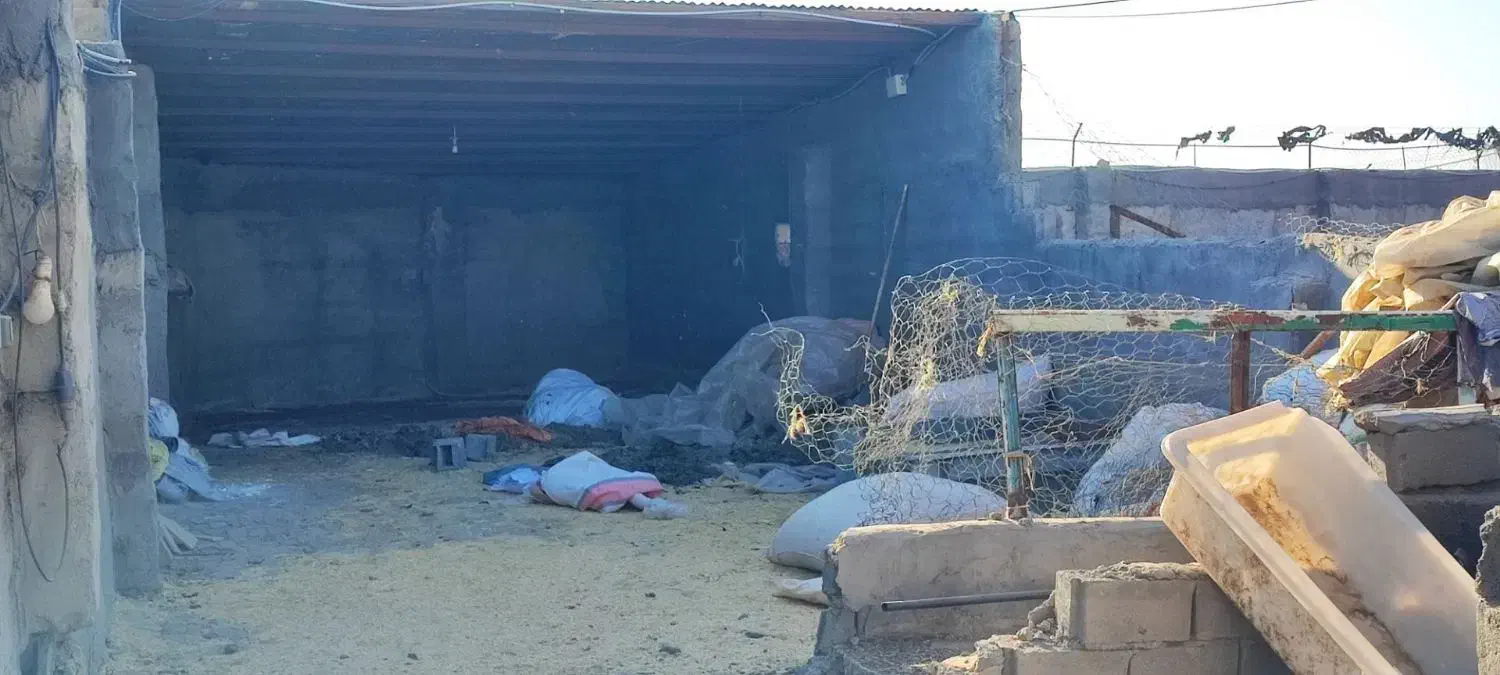 ۱۰۰۰متر دامداری|فروش دفتر صنعتی، کشاورزی، تجاری|نیشابور, مازول|دیوار