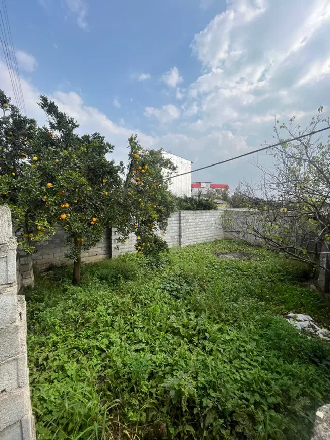 فروش زمین مسکونی روستای ۱۰۰ متری با سندتک برگ|فروش زمین و ملک کلنگی|کیاکلا, |دیوار