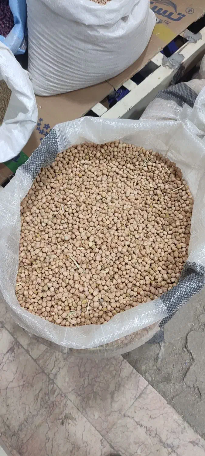 نخود دیم|عمدهفروشی|نیشابور, فردوس شمالی|دیوار