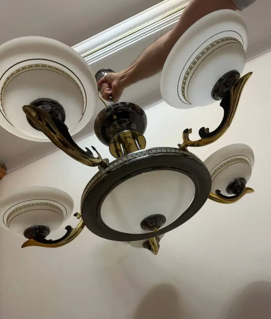 لوستر وارداتی|لوستر و چراغ آویز|تبریز, |دیوار