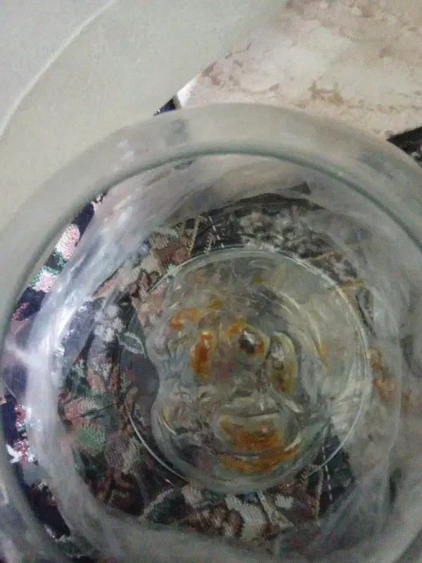 تنگ|صنایع دستی و سایر لوازم تزئینی|تهران, شهید رجایی|دیوار