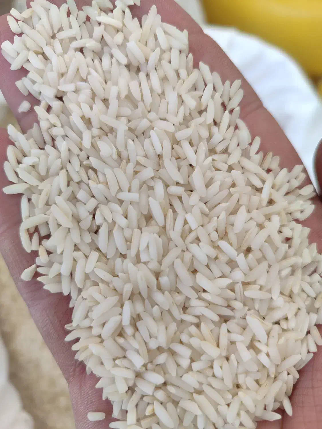 برنج علی کاظمی معطر|خوردنی و آشامیدنی|زنجان, |دیوار