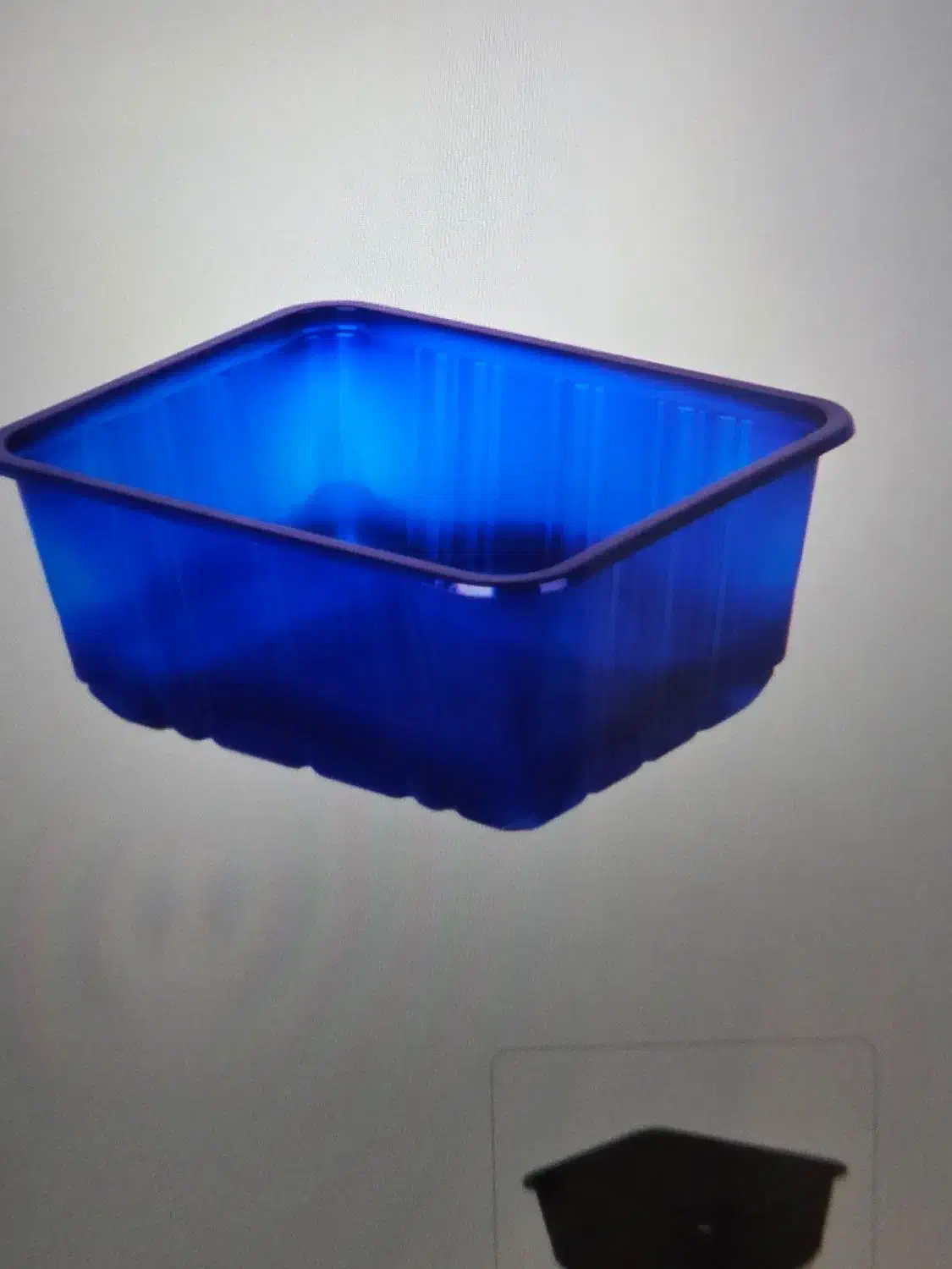 ظرف یکبار مصرف قارچ|ظروف نگهدارنده، پلاستیکی، یک‌بارمصرف|اهواز, کمپلو شمالی|دیوار