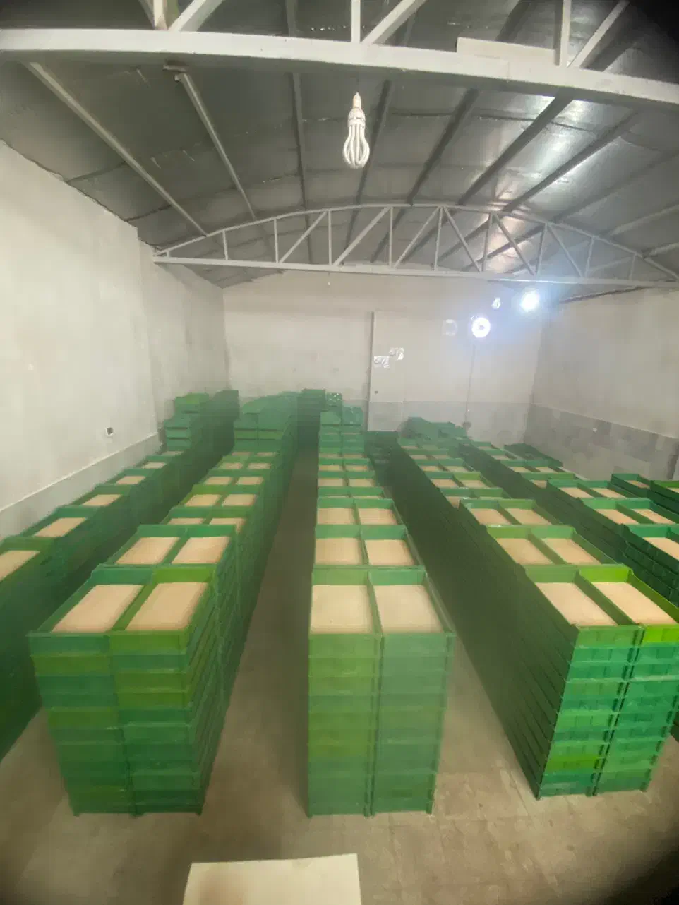 کرم میلورم،پرورش کرم میلورم|لوازم جانبی حیوانات|کاشان, شمس آبادی|دیوار