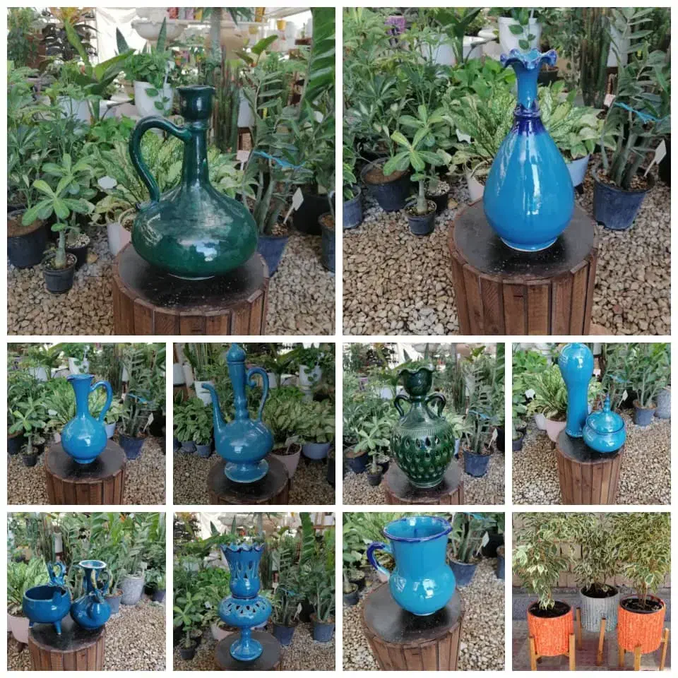 استند ، گل|گل و گیاه طبیعی|مرودشت, فاز دوم شهرک فرهنگیان|دیوار