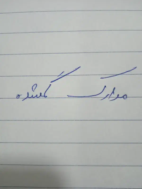 مدارک گم شده|اشیا|خرمآباد, |دیوار