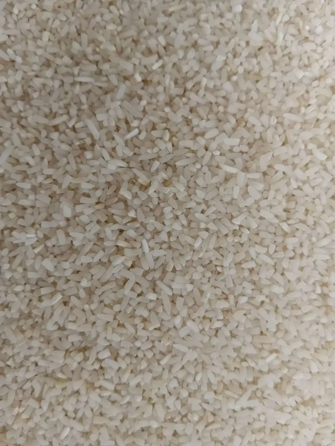 نیم دانه هاشمی سورتینگ|خوردنی و آشامیدنی|سنگر, |دیوار