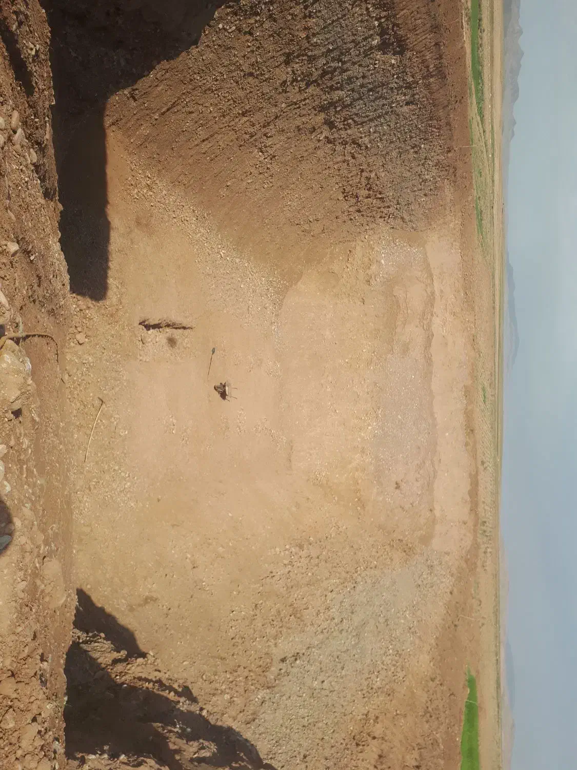 استخر|خدمات باغبانی و درختکاری|فیروزه, |دیوار