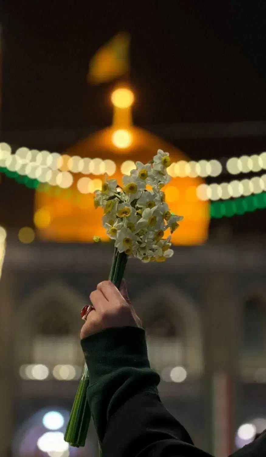 خدمات متنوع سفر باایماپرواز(/مشهد اقساطی چکی|تور و چارتر|اصفهان, شیخ اشراق|دیوار