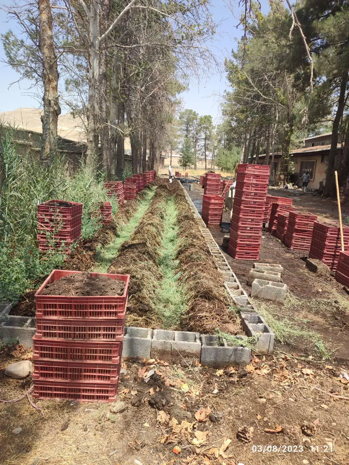 کرم کشاورزی|خدمات باغبانی و درختکاری|شیراز, گود خزینه|دیوار