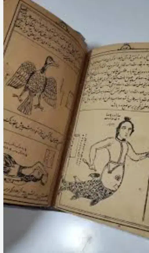 طالع بینی و سرکتاب|خدمات پذیرایی، مراسم|یزد, |دیوار