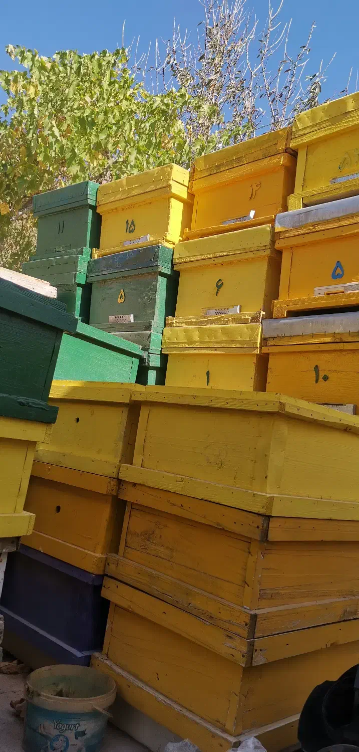 کندوی عسل|لوازم جانبی حیوانات|طالقان, |دیوار