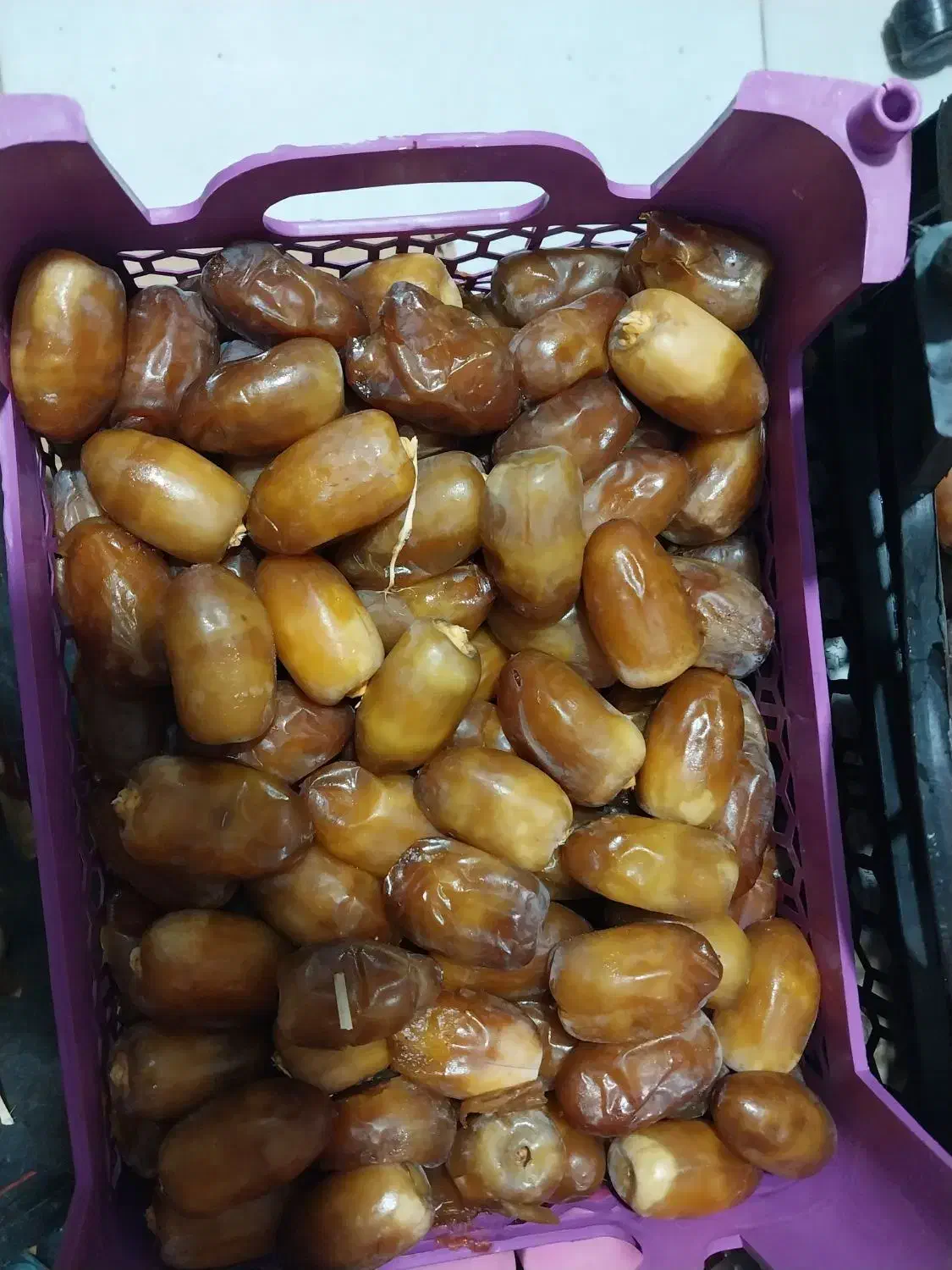 رطب جهرم|خوردنی و آشامیدنی|مرودشت, مختارآباد|دیوار