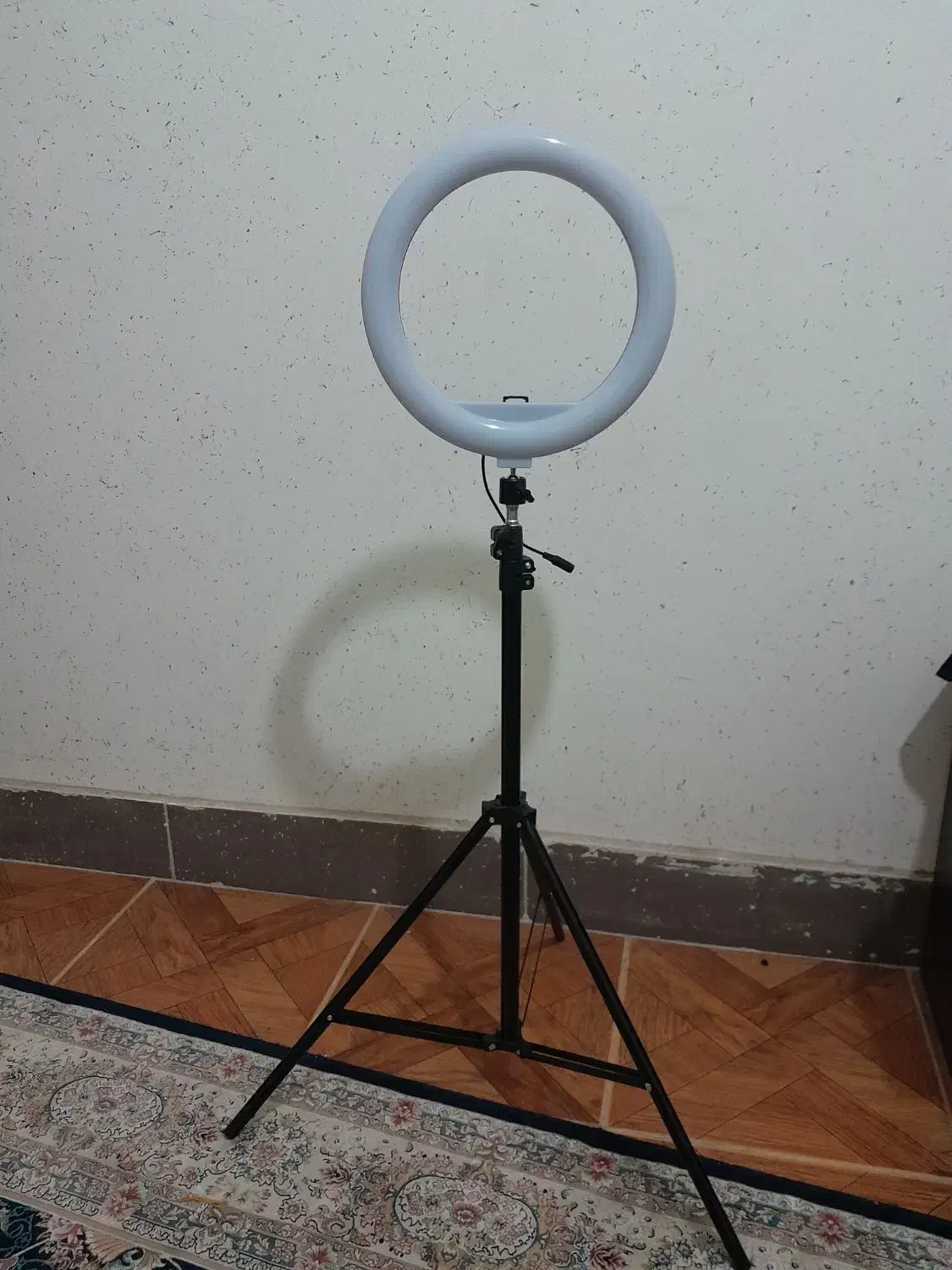 رینگ لایت،کاملا نو|دوربین عکاسی و فیلمبرداری|پرند, فاز ۶|دیوار