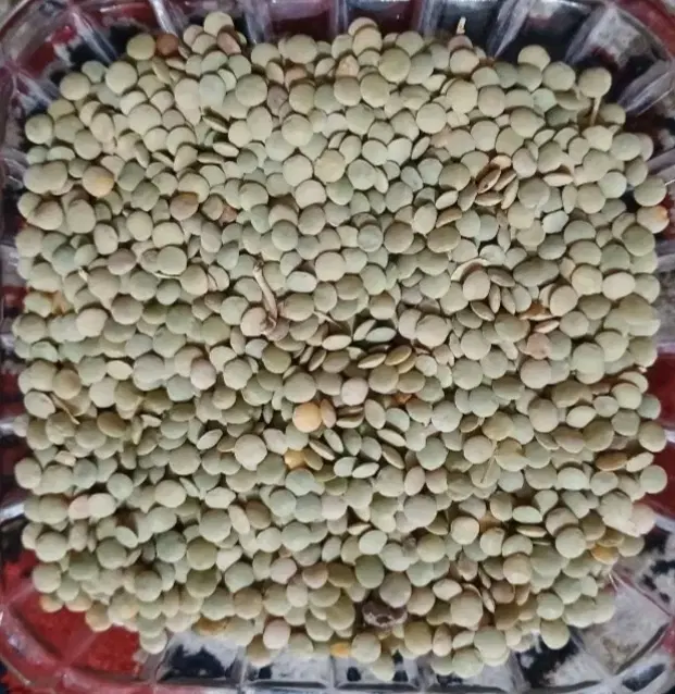 عدس محلی|خوردنی و آشامیدنی|تاکستان, |دیوار