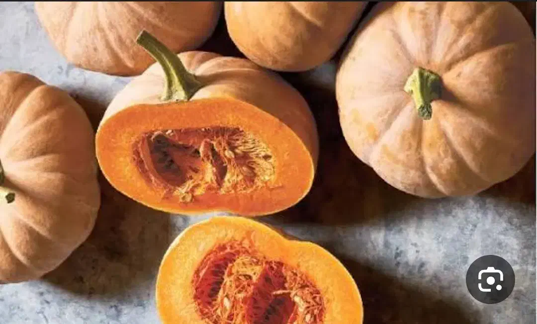 مربای کدو ترد و شیشه ای|خوردنی و آشامیدنی|شیراز, محراب|دیوار
