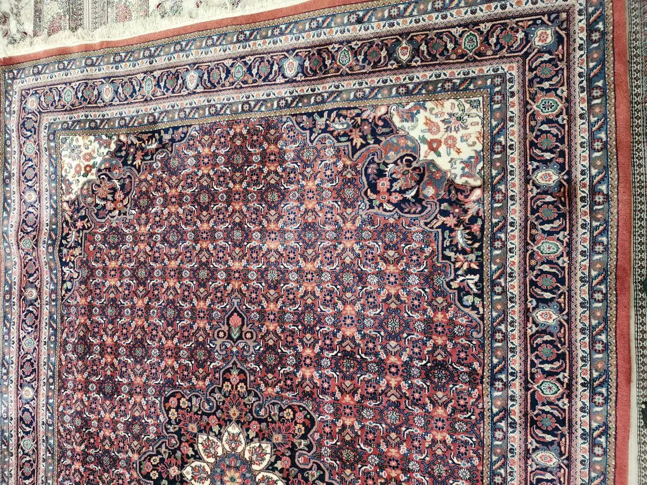 فرش بیجار ۹متری|فرش|سنندج, |دیوار