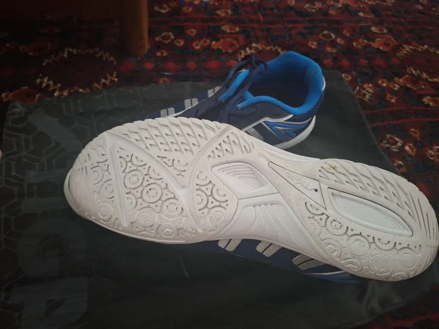 کفش پینگ پنگ|ورزش‌های توپی|تهران, صادقیه|دیوار