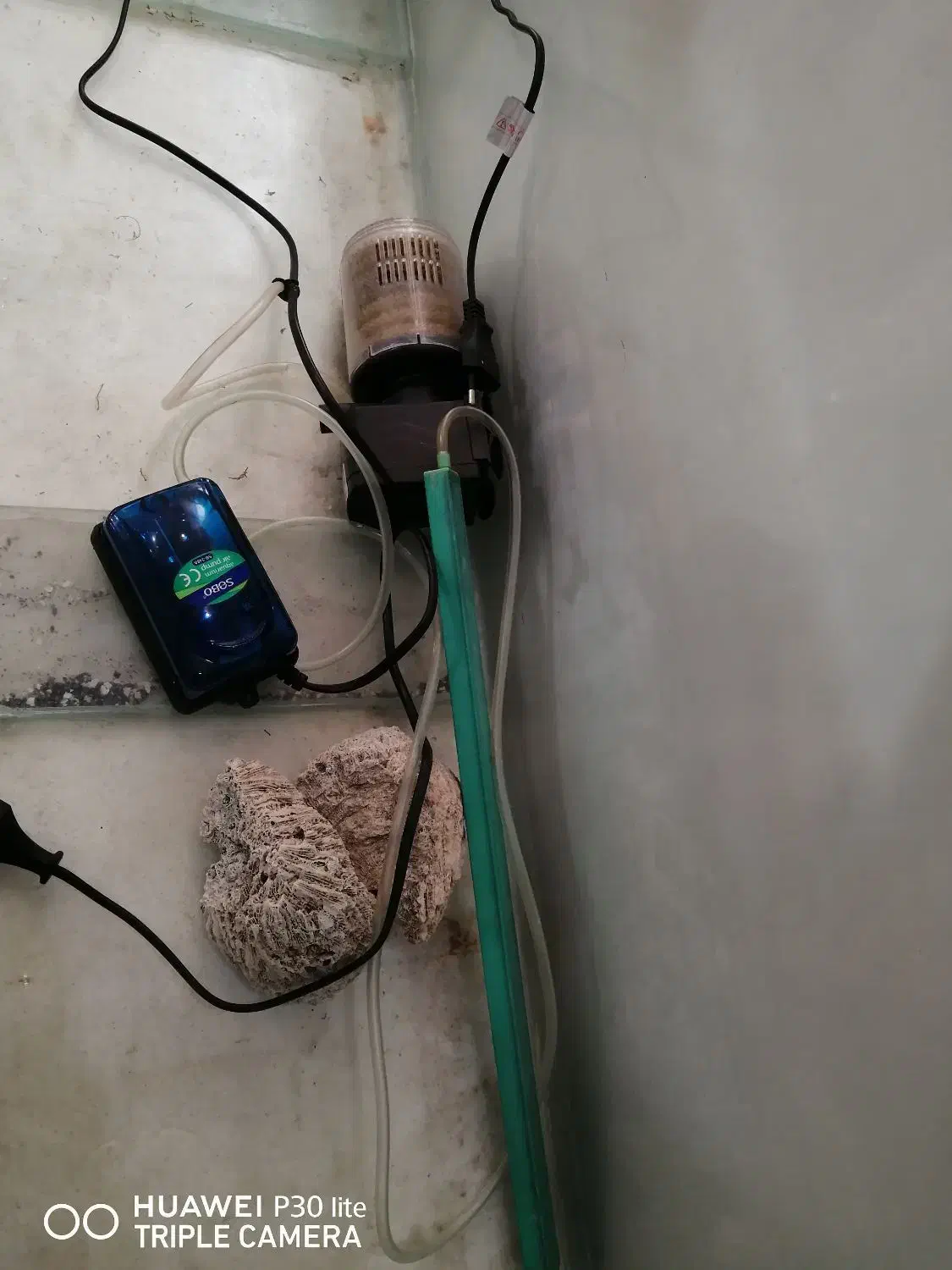 آکواریم با کلیه لوازم|ماهی|رشت, شهرک شهید مفتح|دیوار