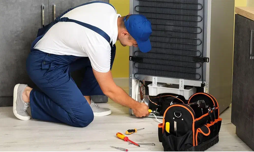 تعمیر یخچال تضمینی|خدمات پیشه و مهارت|ایرانشهر, |دیوار