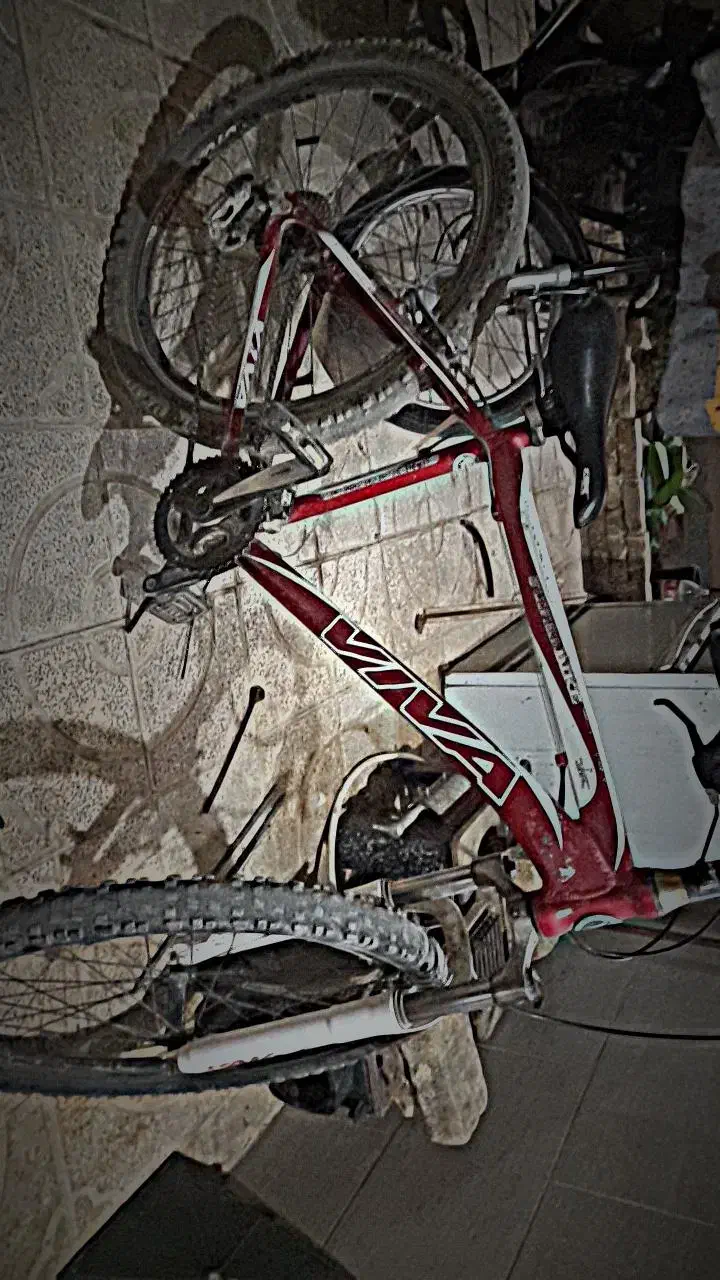 دوچرخه ویوا ۲۶ سند دار|دوچرخه، اسکیت، اسکوتر|اسفراین, |دیوار