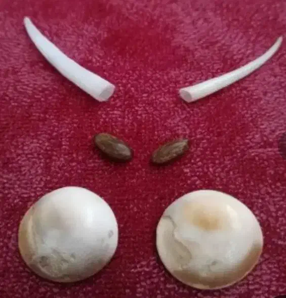 مهره|کلکسیون اشیاء عتیقه|آباده, |دیوار