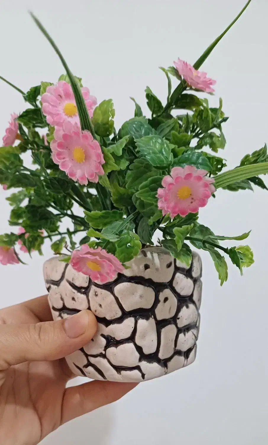 شلف و گل تزئینی|کتابخانه، شلف، قفسههای دیواری|بوشهر, |دیوار